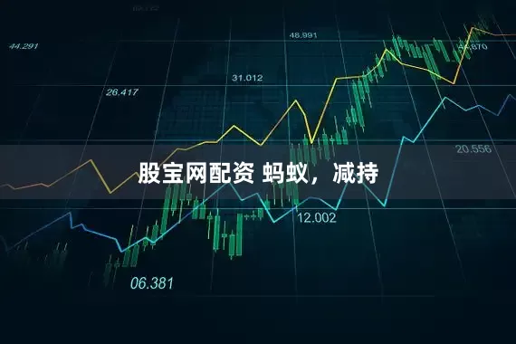 股宝网配资 蚂蚁，减持