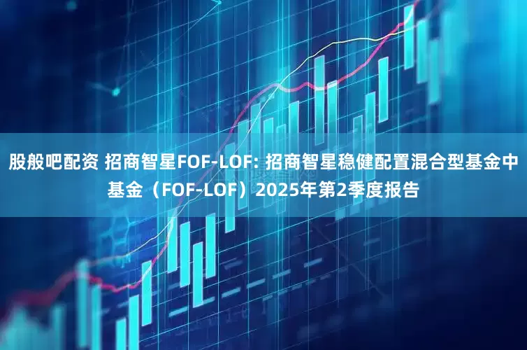 股般吧配资 招商智星FOF-LOF: 招商智星稳健配置混合型基金中基金(FOF-LOF)2025年第2季度报告